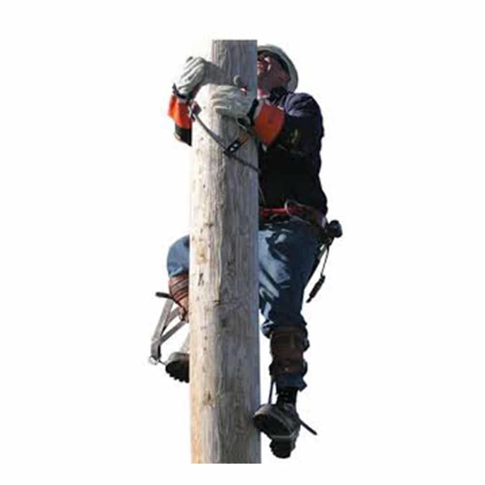 Wood Pole Fall Restraint